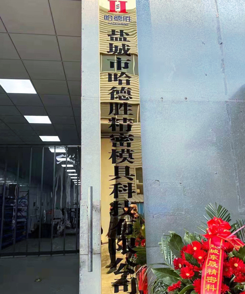 Yancheng hadesheng Precision Mould Technology Co., Ltd