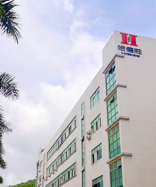 Shenzhen Hadesheng Precision Technology Inc. Ltd.